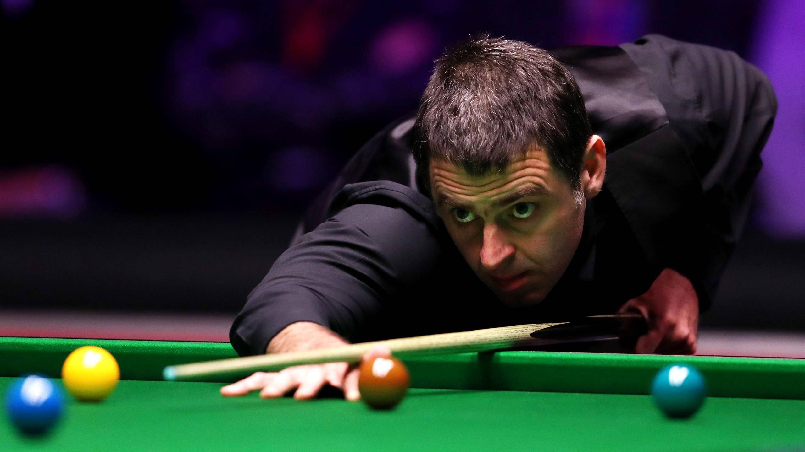 自己的拼搏 自己的拼搏