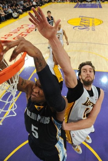 共同特点是 共同特点是